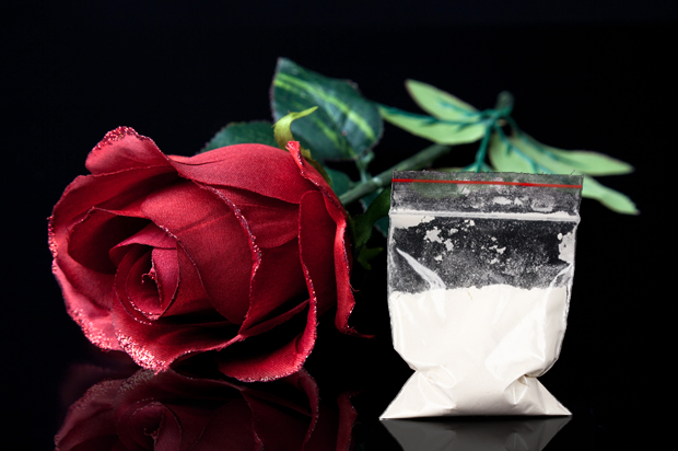 Check Your Roses for Cocaine This Valentine's Day
