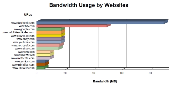 Company Bandwidth Usage