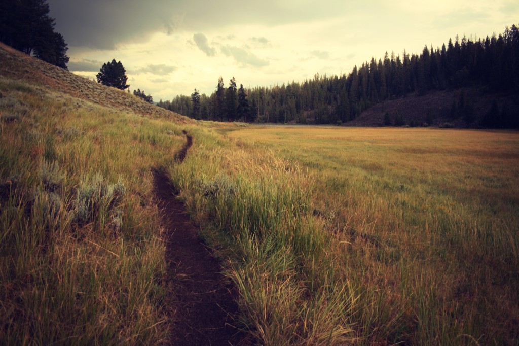 Guide to Effective Remote Working