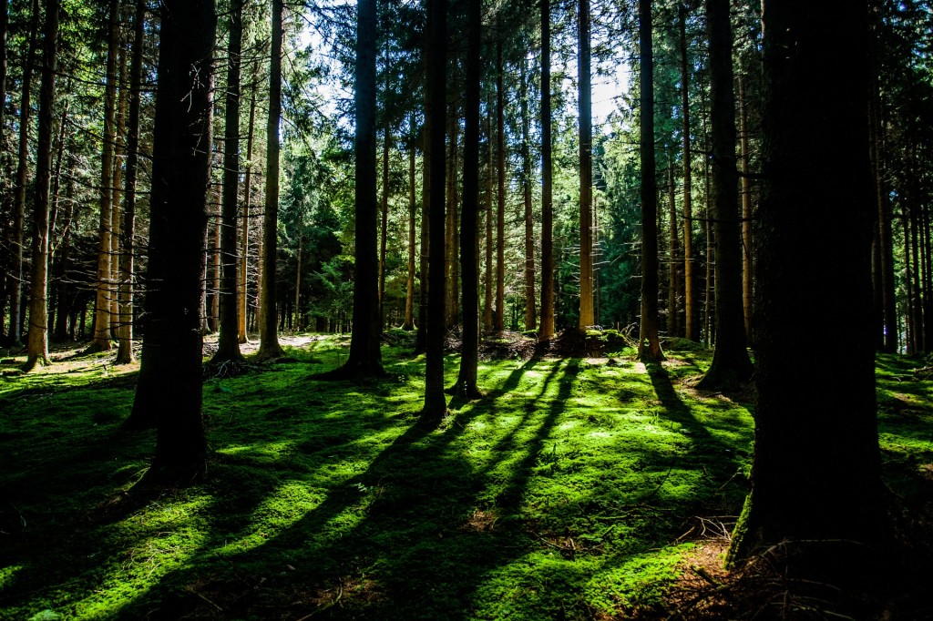 Inspiration: Our Favorite Quotes on Creativity and Business Success