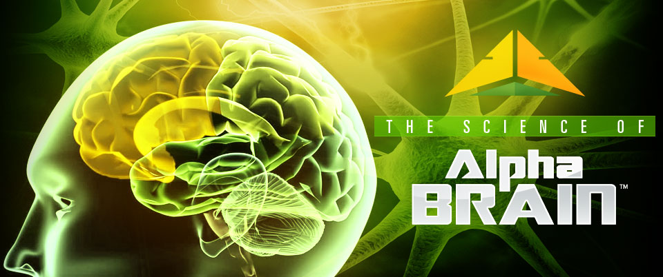 Alpha Brain & Possible Dangers of Health Supplements