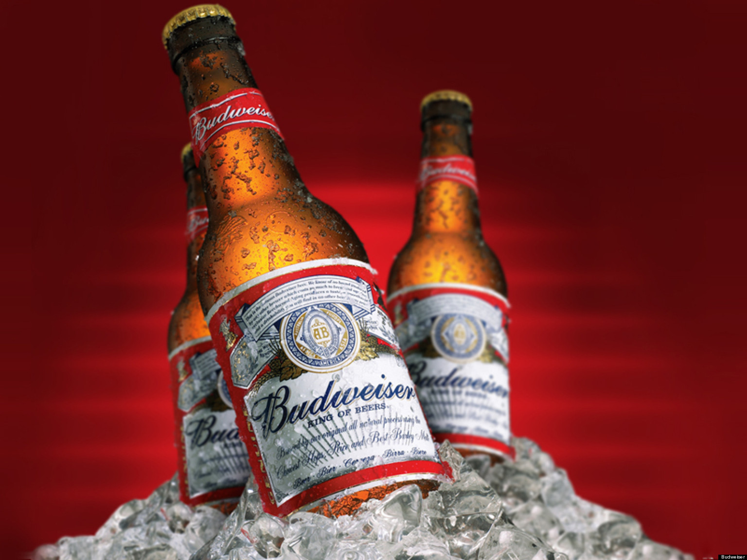 budweiser everything-pr