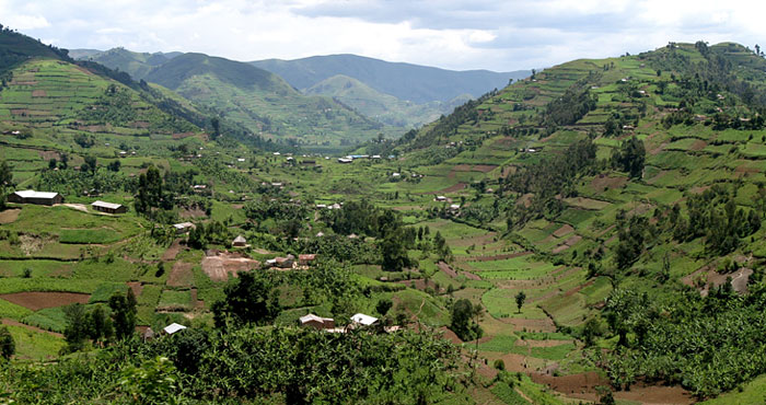 rubenstein pr rwanda