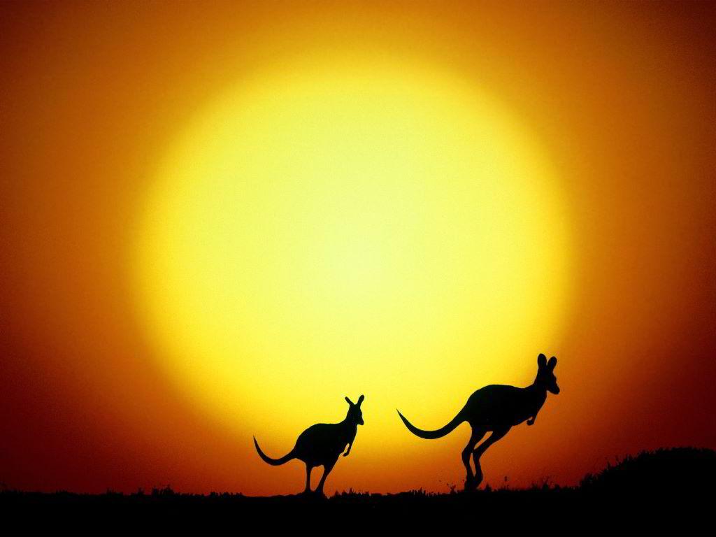 Who are the Best Australian Public Relations Firms?