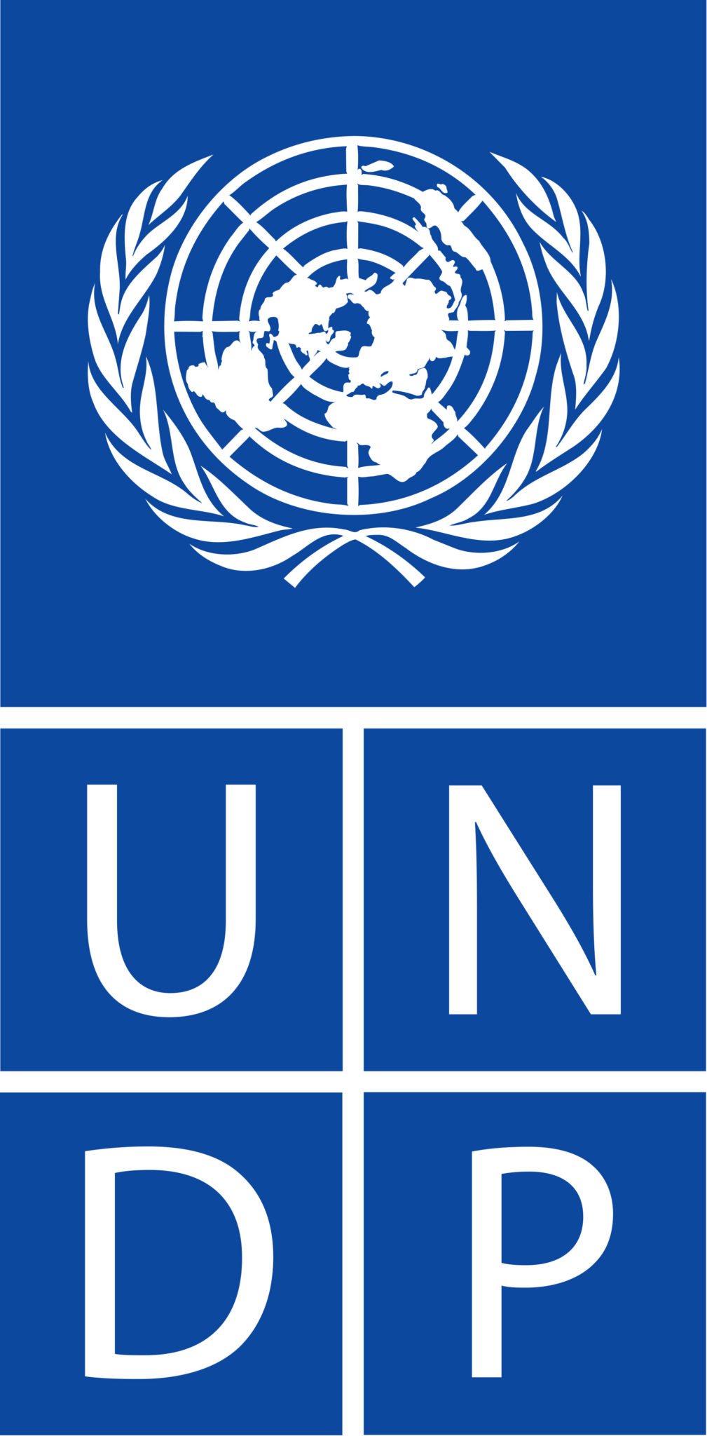 United Nations Project In Seek of Marketing Agency