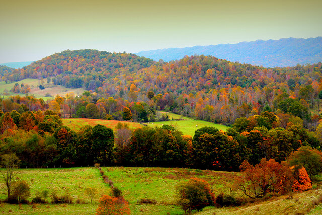 Virginia Agriculture Wants Sales in The Middle East