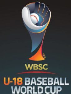 Thunder Bay International Baseball Association Is Looking For A Marketing Agency