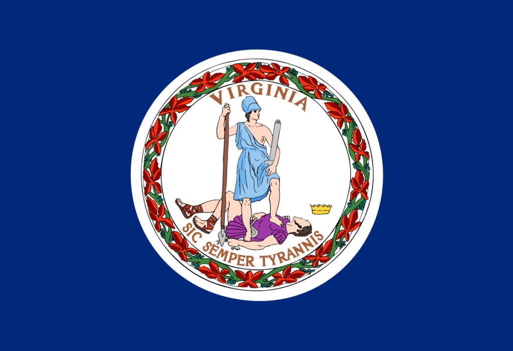 Virginia Issues Social Media RFP