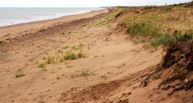 Prince Edward Island Issues Tourism Marketing RFP