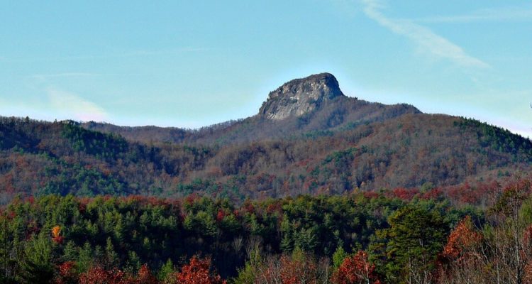 State of North Carolina, Central Piedmont Community College Seeks Brand Research Agency