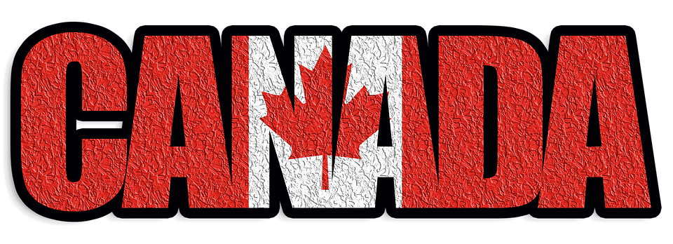 Action Canada for Sexual Health & Rights Issues Website RFP