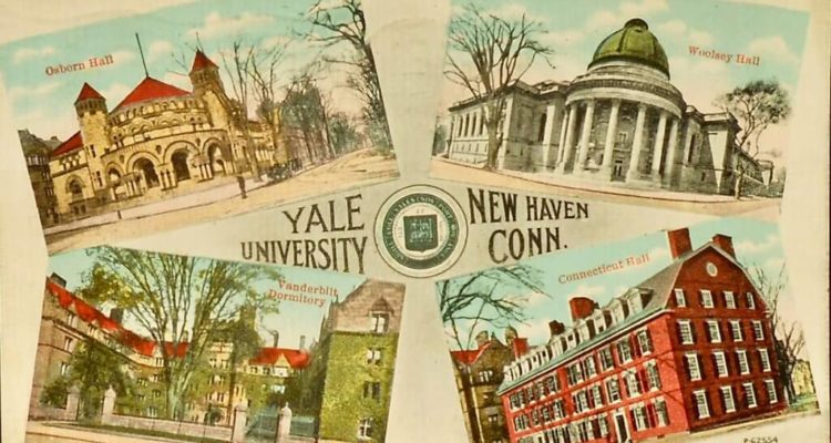 The City of New Haven Issues Social Media RFP