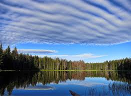 WEBSITE RFP ISSUED BY CITY OF PHILOMATH, OREGON