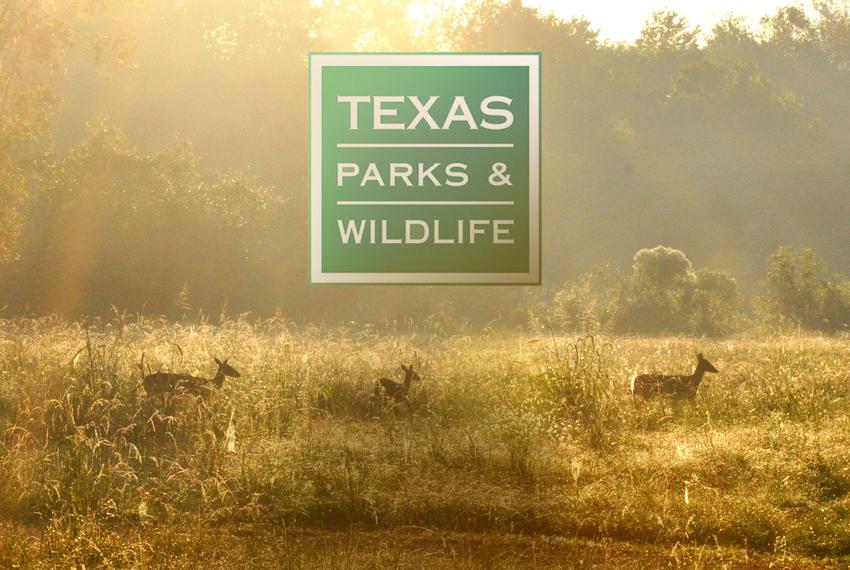 Media Relations RFP Issued By Texas Parks and Wildlife
