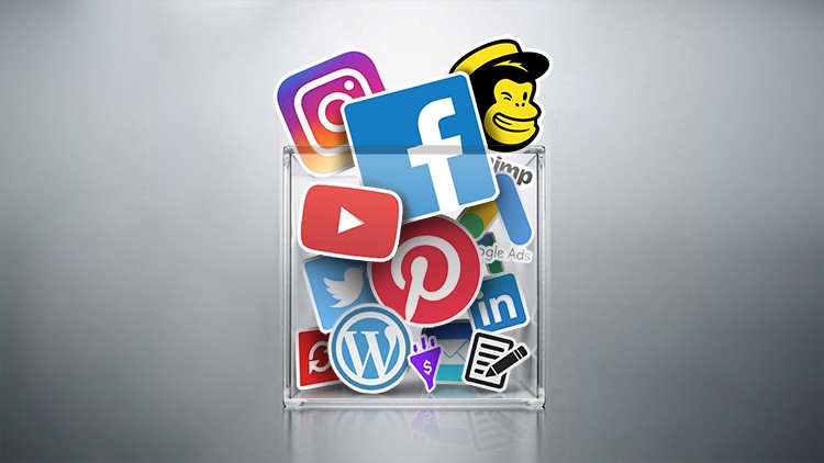 How Businesses Get Noticed Organically