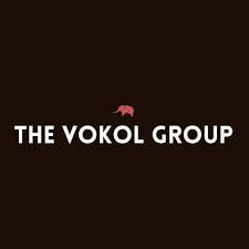 Q&A with Founder of The Vokol Group, Dana Cobb