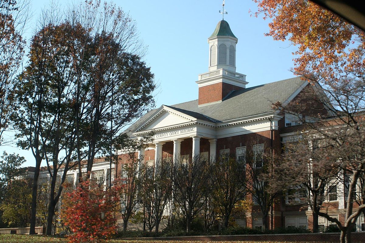 REQUEST FOR PROPOSAL CACVB Search Engine Marketing (SEM) and Digital Media Buying Services County of Albemarle