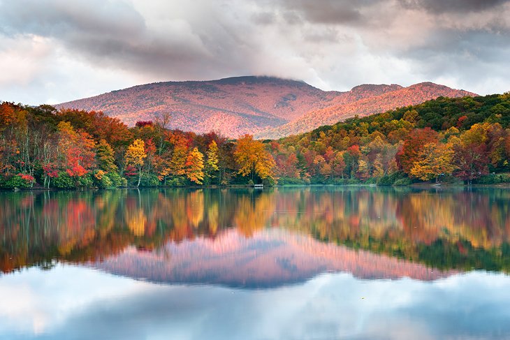 MARKETING RFP ISSUED BY STATE OF NORTH CAROLINA