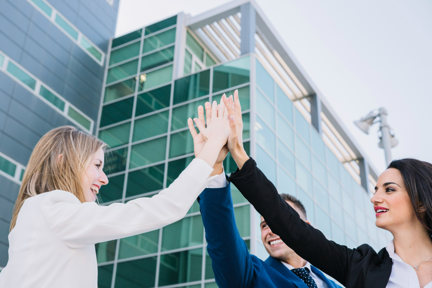 The Transformative Power of Not-for-Profit Organizations: A Success Story