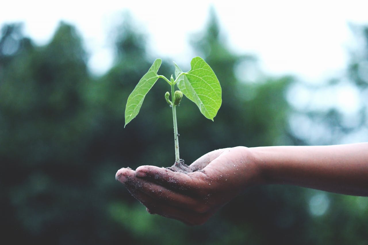 Sustainability as a Key Pillar in Tech PR