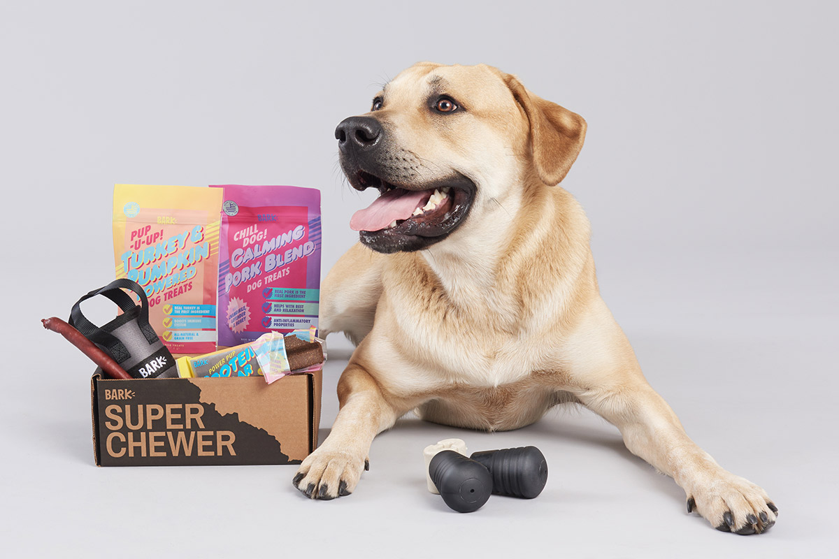The Woof of Success: How BarkBox's Digital Marketing Transformed Pet Subscription Services
